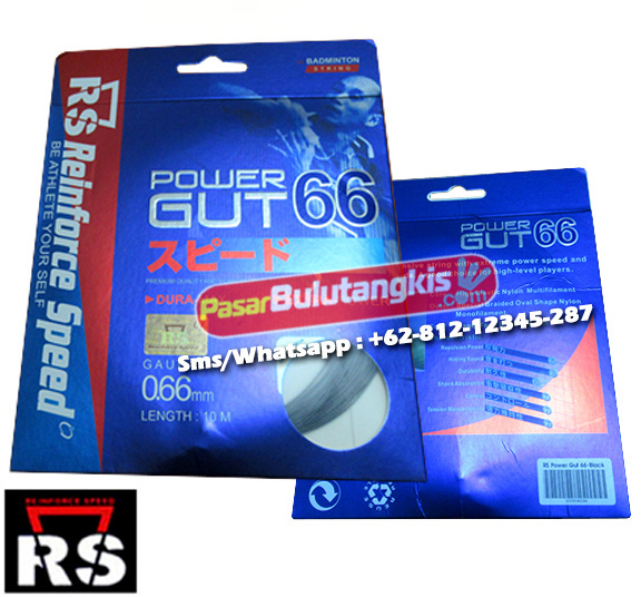 RS Micro Power Gut 66